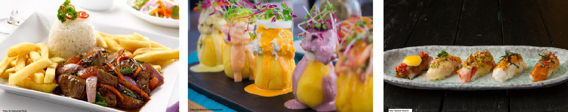 lomo-causitas-nikkei perusgastronomi